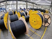 Էվոլյուցիոն եւ ֆիբեր Opitik քաղի ծրագրերը